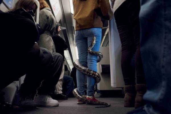 Woman on train with a snake wrapped around her legs